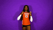 Clemsonvb Championshipbehavior GIF by Clemson Tigers