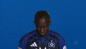 Look Up Hamburger Sv GIF by Bundesliga