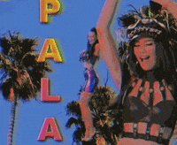 Pala Dno GIF
