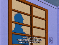 homer simpson japan GIF