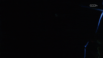 Ultimate Warrior Wwe GIF by DARK SIDE OF THE RING