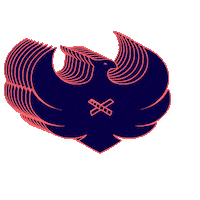 edusportacademy phoenix academy edusport edusportacademy Sticker