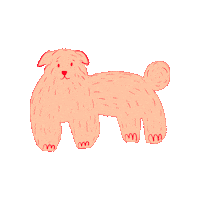 Amiinthemiddle dog smile animal puppy Sticker