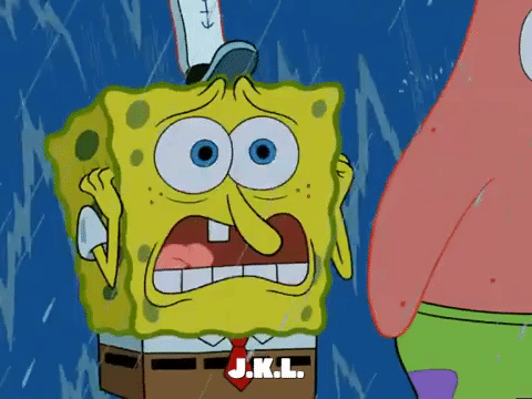 season 6 GIF by SpongeBob SquarePants