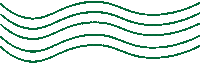 Baylor Bears Waves Sticker by Baylor University