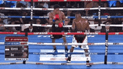 toprank fight boxing fighting espn GIF