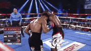 toprank fight boxing fighting espn GIF
