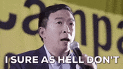 Andrew Yang GIF