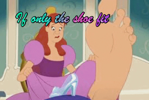 petracald giphygifmaker GIF