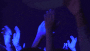 Rdw Applause GIF by Royaume du Web
