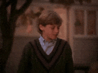 boi GIF