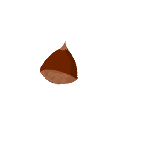 Girart giphyupload autumn november chestnut Sticker