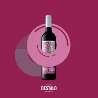Vinho Verde Summer GIF by Destalo Wine