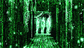 The Matrix Cyberpunk GIF