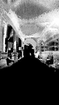 new york city love GIF by Ryan Seslow
