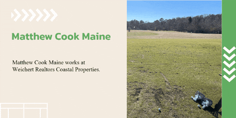 matthewcookmaine giphygifmaker giphyattribution GIF