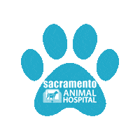 sacanimalhospital cat dog cats dogs Sticker