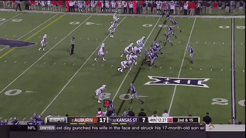 carolinefohrellsterritt giphygifmaker GIF