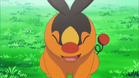 Happy Fire GIF by Pokémon