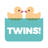 Twins Pregnancy Sticker by What to Expect
