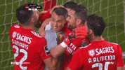 group hug celebration GIF by Sport Lisboa e Benfica
