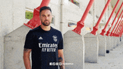 Sl Benfica Wink GIF by Sport Lisboa e Benfica