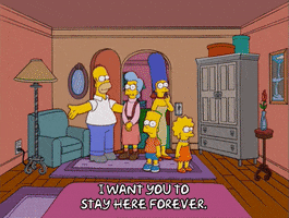 homer simpson lady GIF
