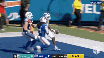 National Football League GIF by NFL