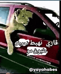 Y44Sser GIF