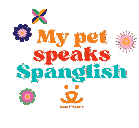 Mi Casa Pets Sticker by Best Friends Animal Society