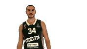 Bineprepelic Sticker by kkcedevitaolimpija