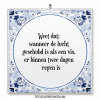 Humor Hoop GIF by Tegelspreuken.nl