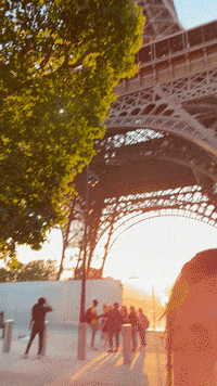 France Wow GIF