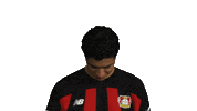 Look Up Bayer 04 Sticker by Bundesliga
