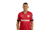 Bayer Leverkusen Wtf Sticker by Bundesliga