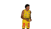 Ewe Baskets Sport Sticker by EWE Baskets Oldenburg