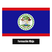 Belize Flag Sticker by Formación Ninja