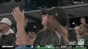 Regular Season Football GIF by NFL