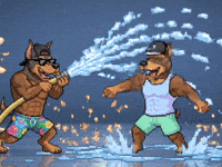 Summer Time Dog GIF by SkyDog Social
