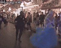 Theme Park Run GIF