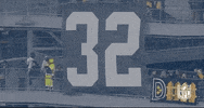 Pittsburgh Steelers Football GIF by NFL