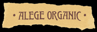 Vintage GIF by Dr.Soil