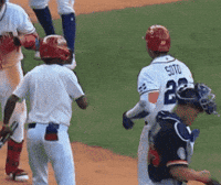 Happy Blue Jays GIF by Toronto Blue Jays