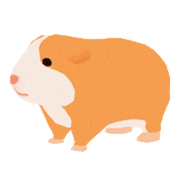 Guineapig Forester Sticker
