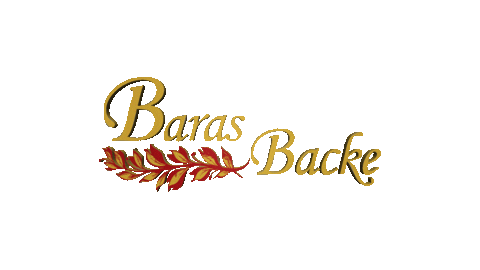 Barasse giphyupload baras barasbacke Sticker