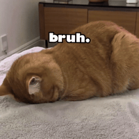 Over It Cat GIF by Respective