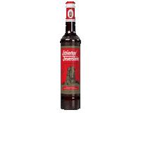 Party Fun Sticker by Schierker Feuerstein