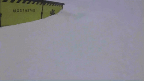 ShaggyEells giphygifmaker GIF