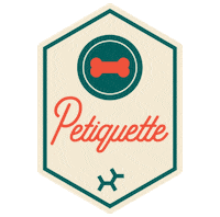 Campembark Sticker by EmbarkVet