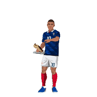 France Football Sticker by Panini America